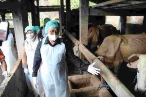 IMG-20220513-WA0951 (1)