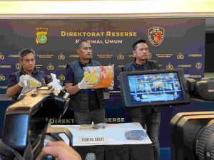 IMG-20230531-WA1156 (1)