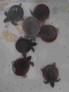 IMG-20240225-WA1513 (2)