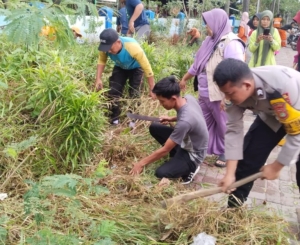 IMG-20250524-WA0118-768x626