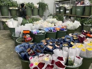 19d4a56e-d78b-478c-a577-5b33a767d9ab